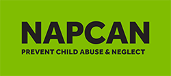 Original Napcan Logo Black On Green